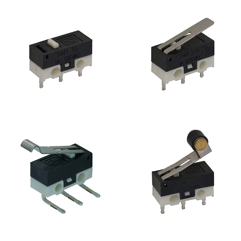 Micro switch D06~D07