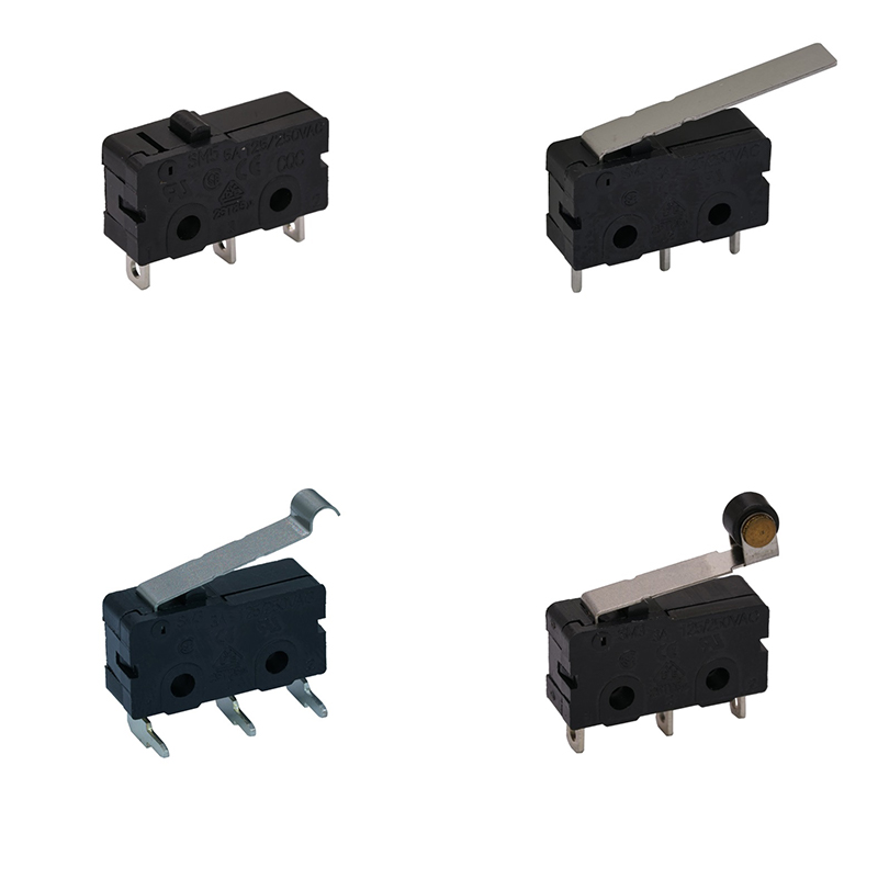 Micro switch D08~D09