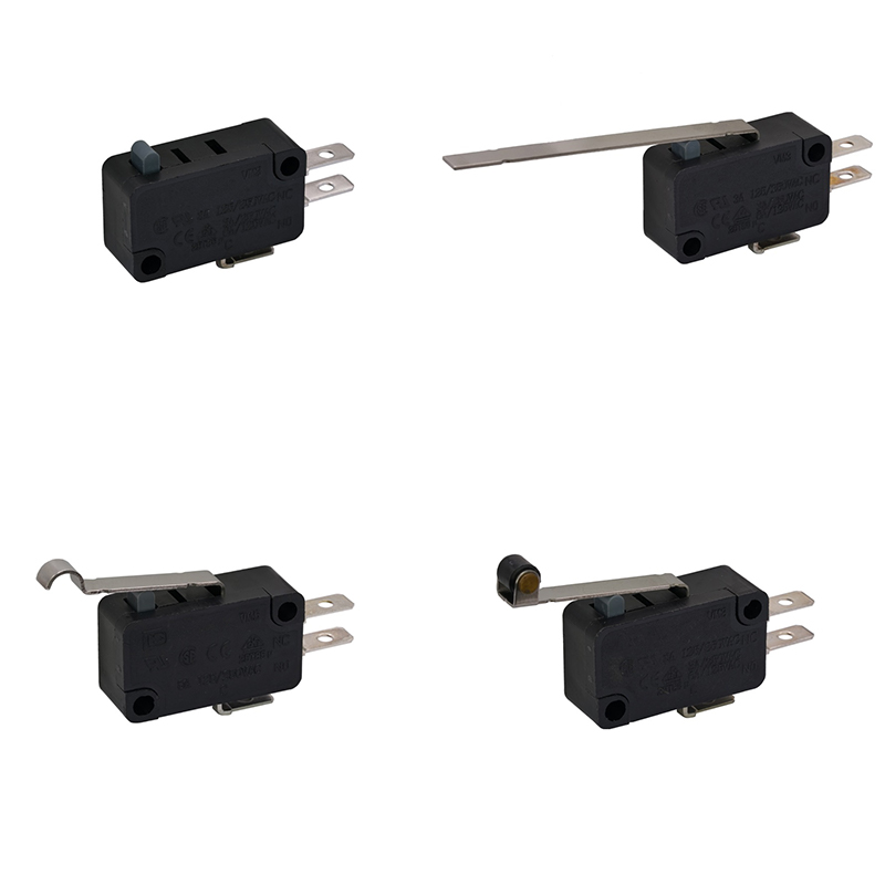 Micro switch D10~D11